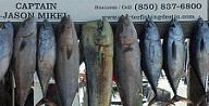 big game lined up from finest kind fishing charter