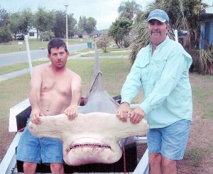 2 men holding a hammerhead shark catch