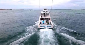 Deep Sea Fishing Adventure