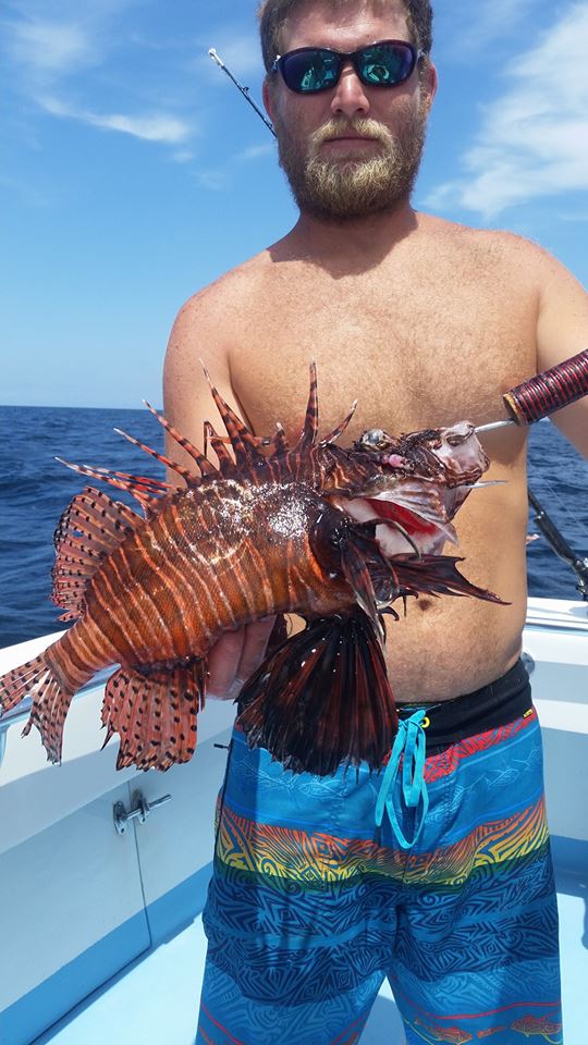 lionfish caught in destin