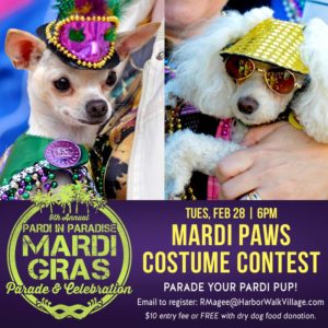 Mardi Paws Costume Contest 2017
