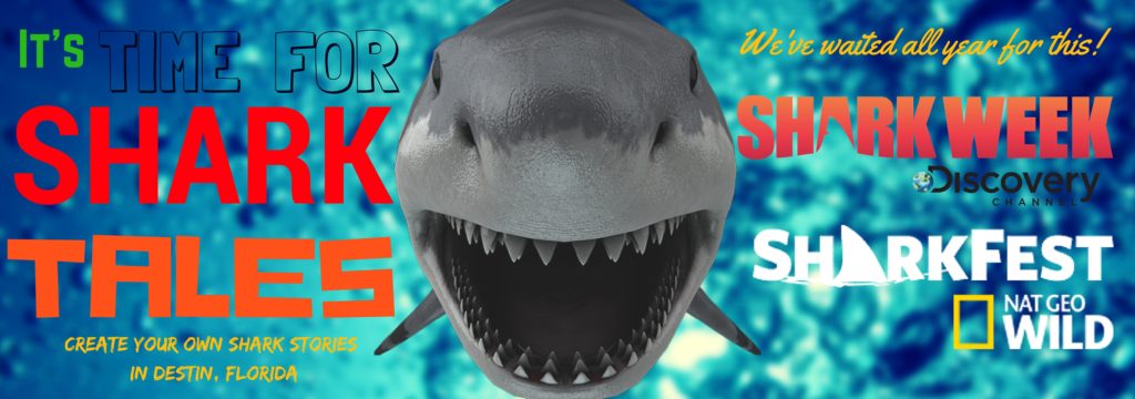 time for shark tales